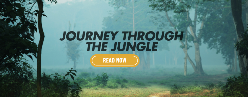 Journey Through The Jungle